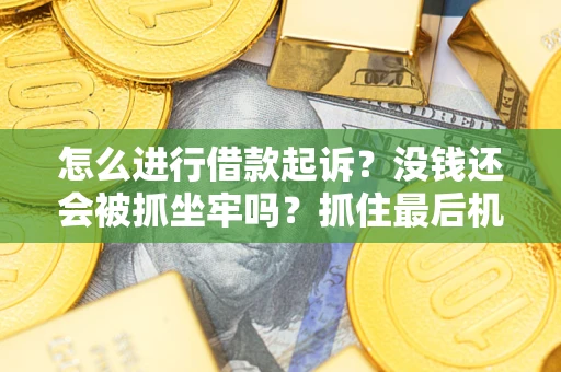 济南怎么进行借款起诉？没钱还会被抓坐牢吗？抓住最后机会！