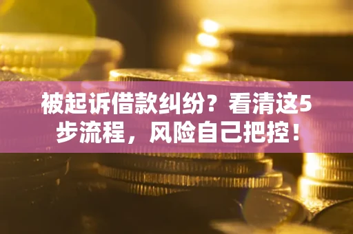 济南被起诉借款纠纷？看清这5步流程，风险自己把控！